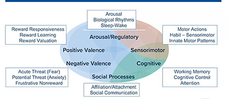 video cover of CGMHR Webinar Series 2023: Real-World Opportunities and Challenges: Using NIMH's Research Domain Criteria (RDoC)