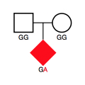 ASD gene mutation