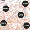 ESC/E(Z) gene complex