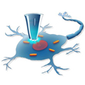 Nanopipette sampling a neuron without disturbing function