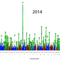 Schizophrenia genetics Manhattan plots, 2011, 2014