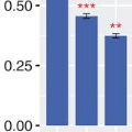 Chart shows correlations of gene expression between mental disorders.