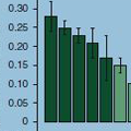 SNP-based Coheritibilities