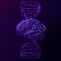 Illustration of a brain intertwined with a DNA double helix, depicted as a network of glowing, purple connections on a dark background.