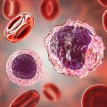 Illustration of white blood cells and red blood cells