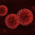 Swarm of human immunodeficiency virus. Credit: istock/fpm.